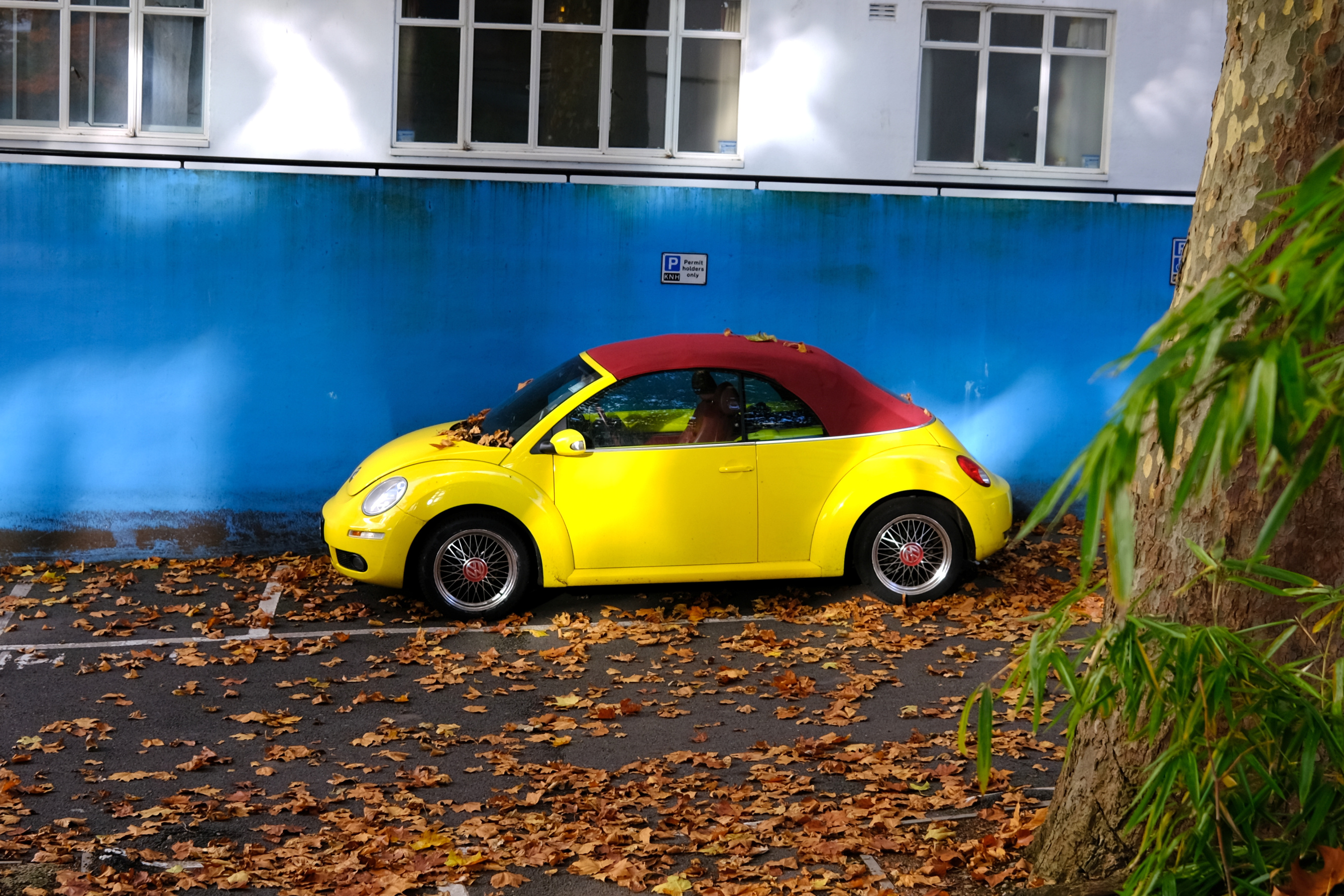 DSCF4910.jpg