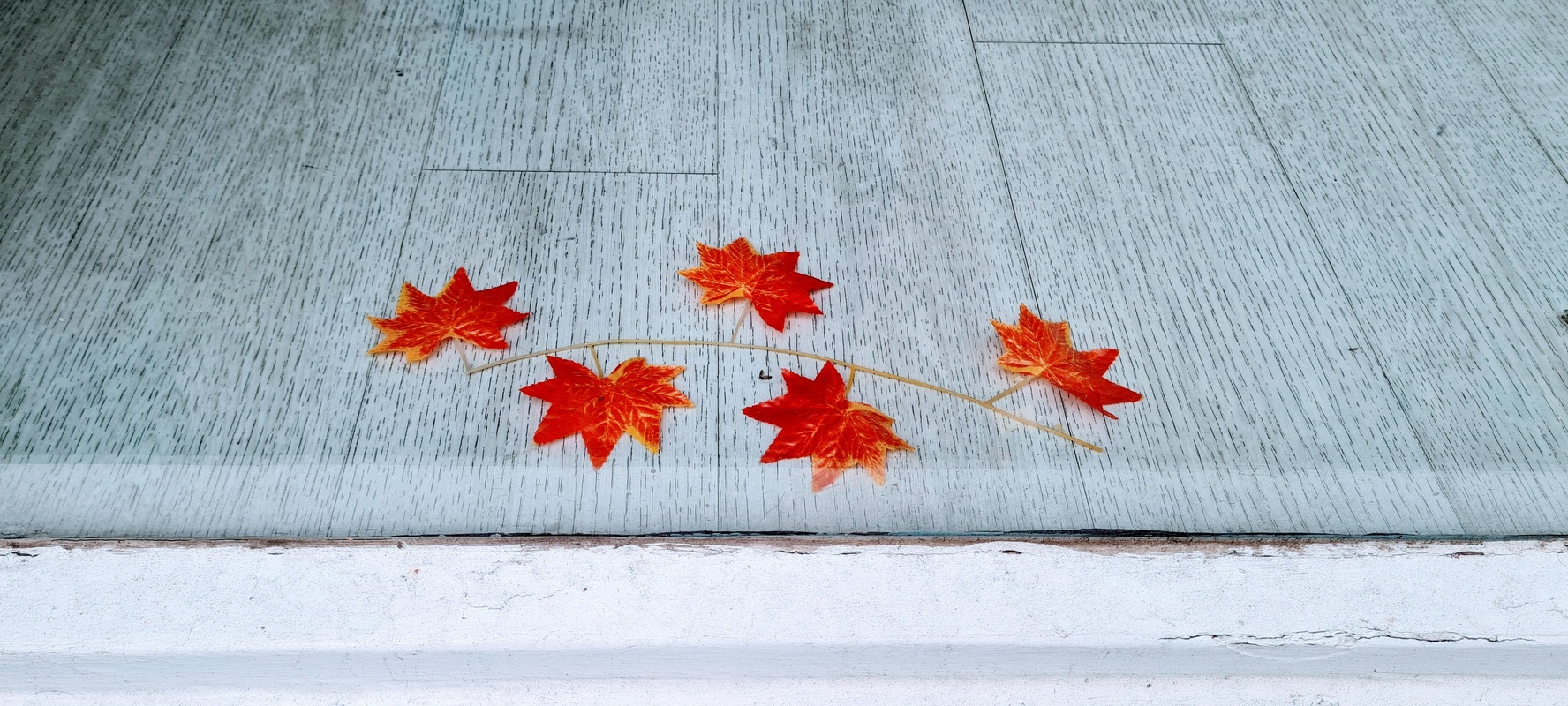 20201017_150751-edited.jpg