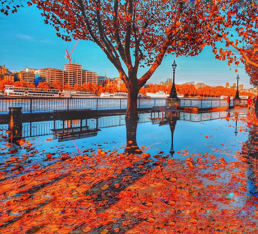 Autumn(1).jpg