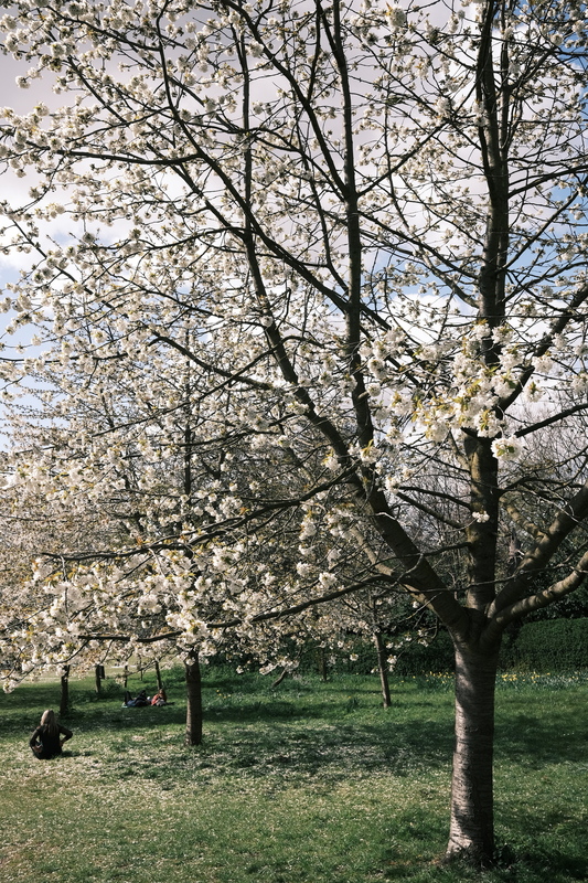 DSCF0149.JPG