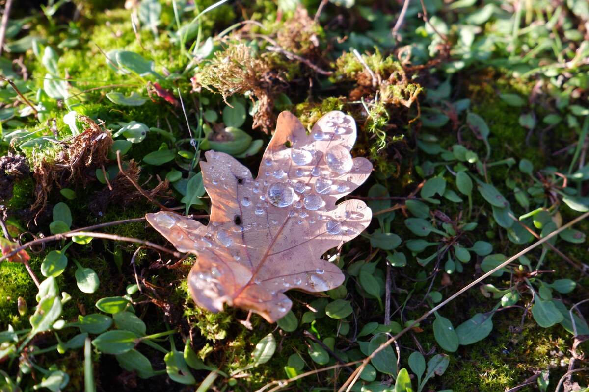 DSCF4692.jpg