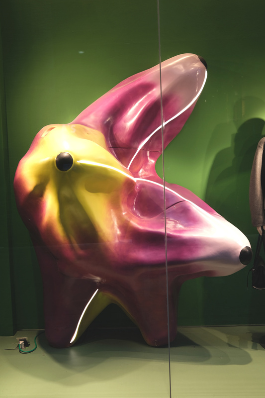 DSCF5003.jpg