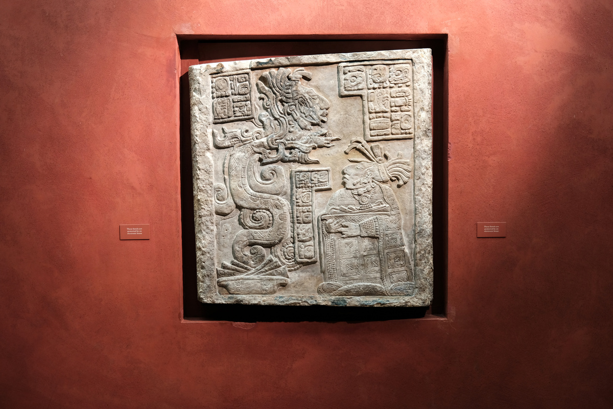 DSCF5308.jpg