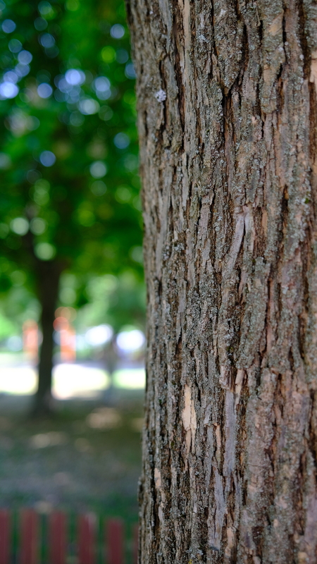 DSCF5713.JPG