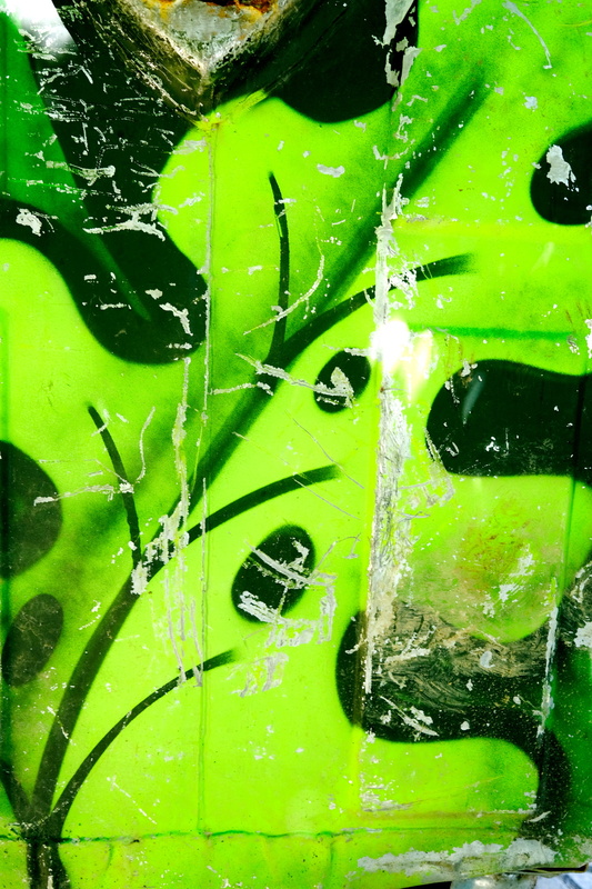 DSCF5928-b.JPG