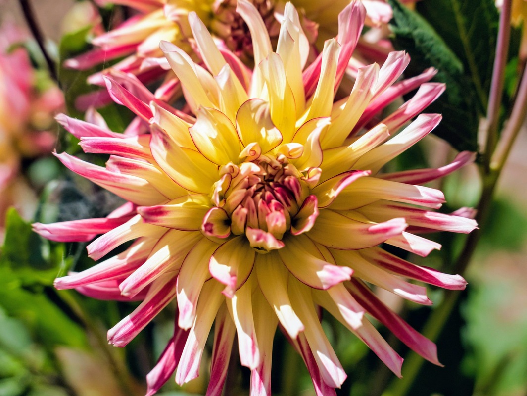 P3490923-edited.jpg