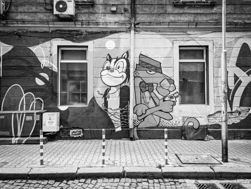 PXL_20230531_103810139bw2.jpg