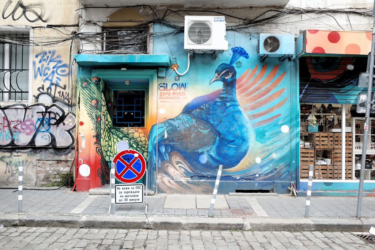 R0020288.JPG