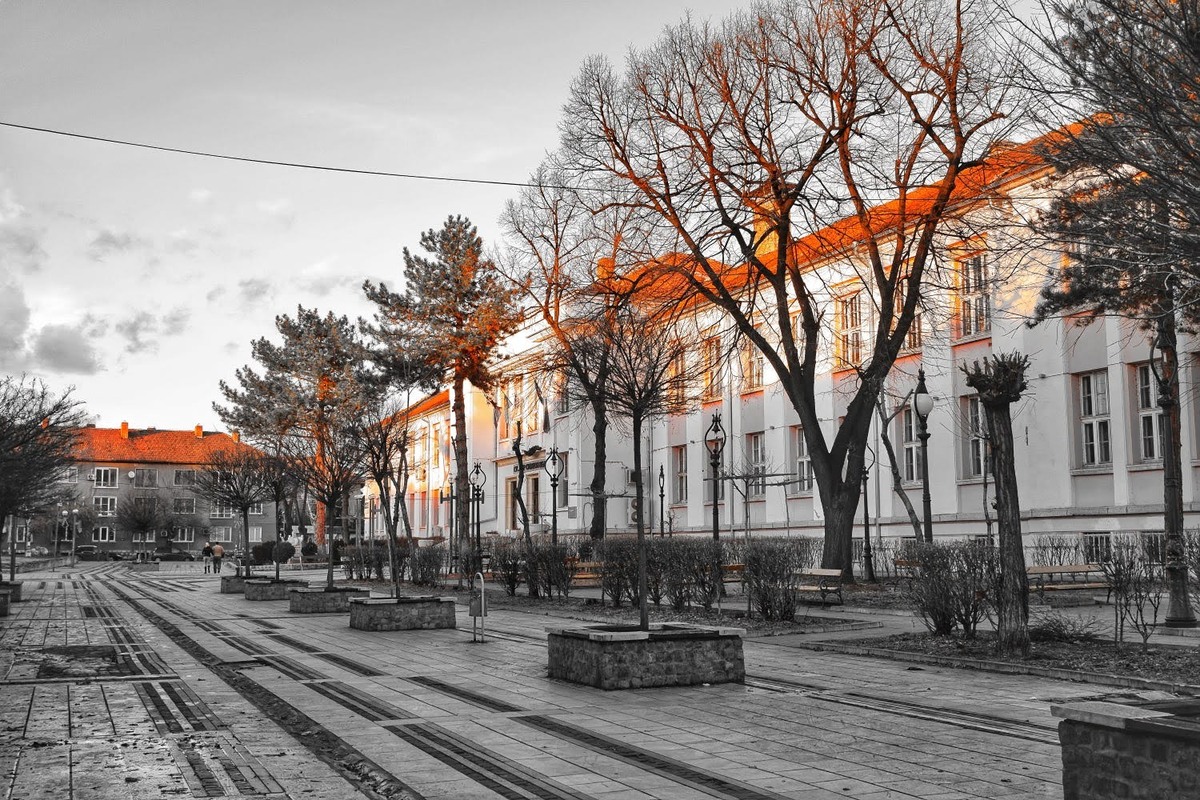 Vidin-High-School.jpg